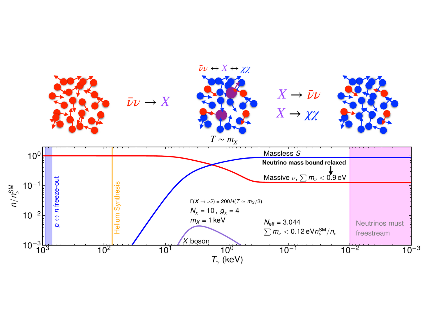 The mechanism that hides the neutrino mass from cosmology. Above, neutrinos annihilate into the mediator X, which decays into massless dark states. Below, the resulting number densities: the active neutrino density is depleted between BBN and recombination, relaxing the cosmological mass bound.